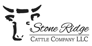 A black and white logo of stone ranch cattle company.